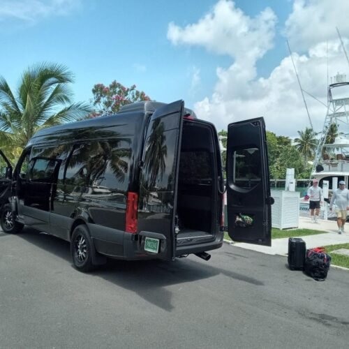 vehicle presentation (6)