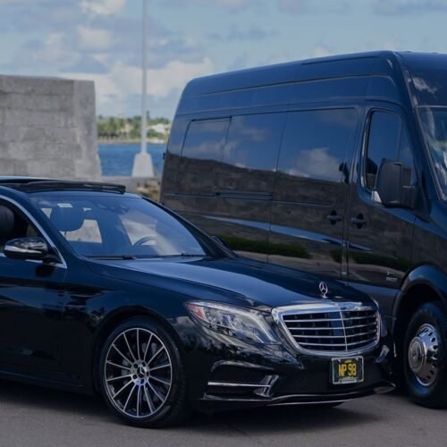 vehicle presentation (7)